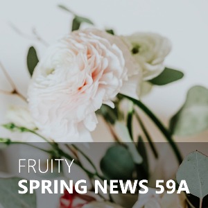 SPRING NEWS 59A / 스프링 뉴스
