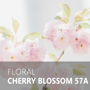 CHERRY BLOSSOM 57A / 체리 블라썸