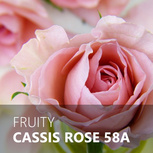 CASSSIS ROSE / 카시스로즈 58A
