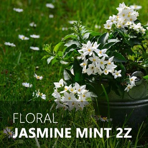 JASMINE MINT / 자스민민트 2Z
