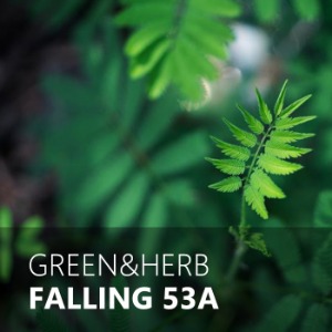 FALLING / 폴링 53A