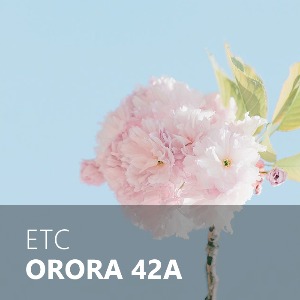 ORORA / 오로라 42A