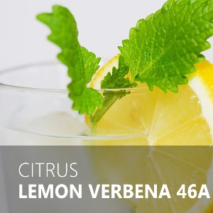 LEMON VERBENA / 레몬버베나 46A