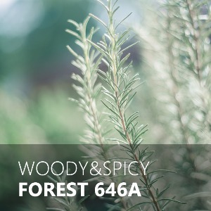 FOREST / 포레스트 646A