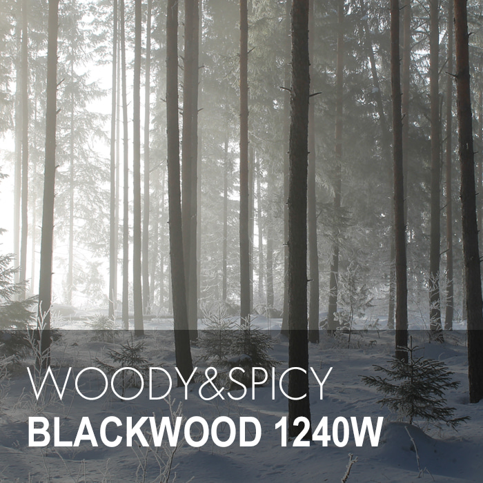 BLACKWOOD / 블랙우드 1240W