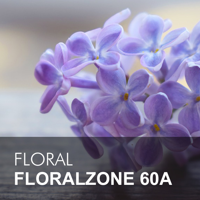 FLORALZONE / 플로랄존 60A